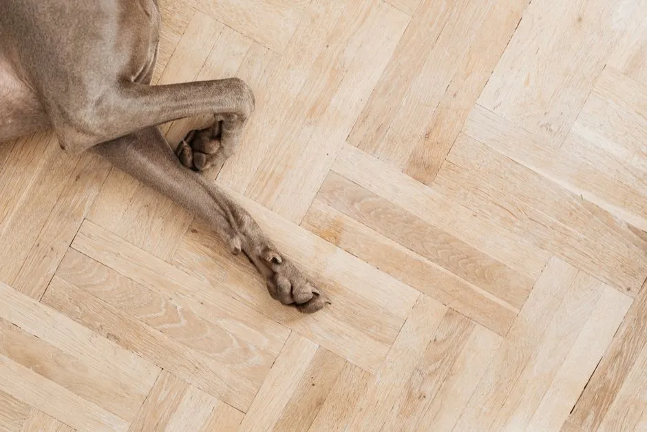 Cómo lijar el parquet a mano uno mismo