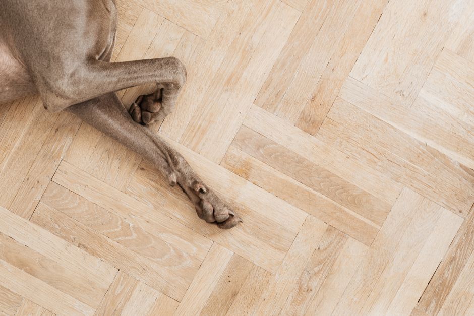 Parquet en espiga barnizado y protegido
